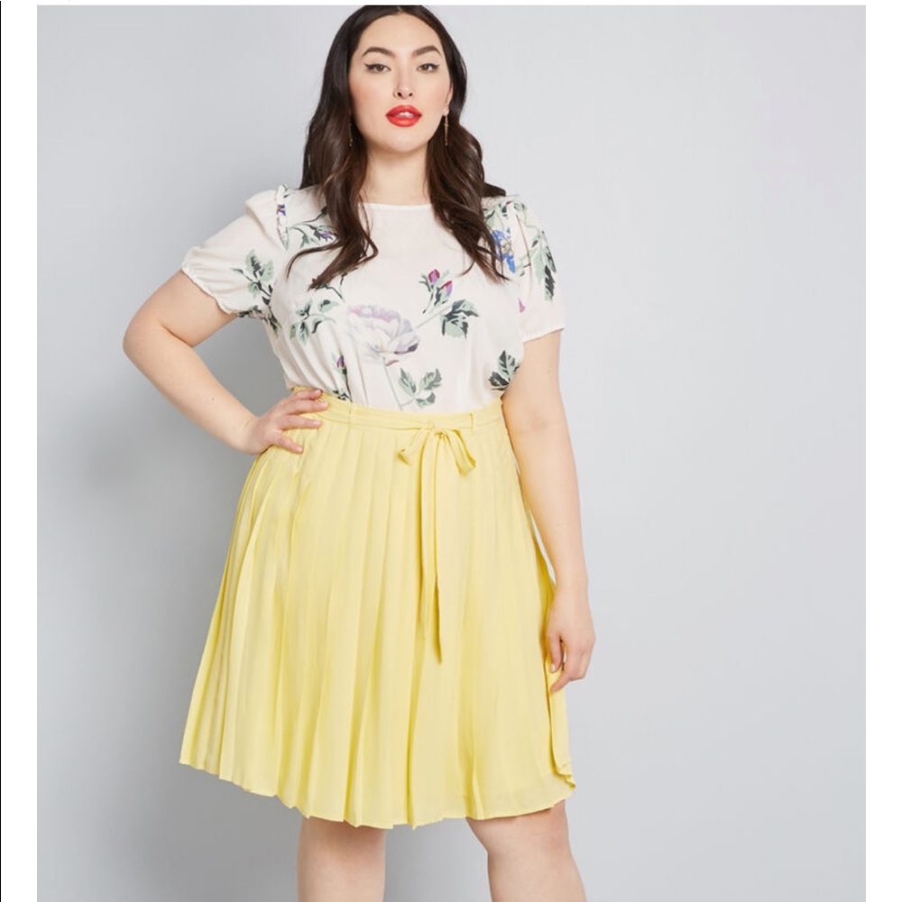 NWOT modcloth purely pretty pleated skirt - 2X